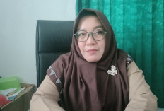 DKP Tahun 2026, Tanpa DAK Fisik