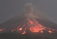 Gunung Merapi, Siaga III, Sudah Muntahkan Lava sejauh 1.800 Meter