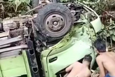 Truk Bermuatan Sawit Terjun ke Jurang di Napal Melintang Seluma, Sopir Luka-Luka Dilarikan ke Puskesmas