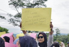 Senin 26 Januari, Honorer yang Dirumahkan, Gelar Audensi di DPDR Seluma