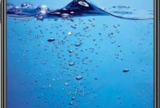 Harga Terjangkau, Oppo F9 Masih Layak Dibeli di 2025