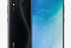 Vivo Y19: Smartphone Kelas Menengah dengan Performa Andal dan Baterai Jumbo