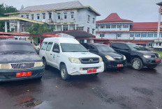 Nunggak Pajak, Mobil Kepala Puskesmas Babatan Dikandangkan