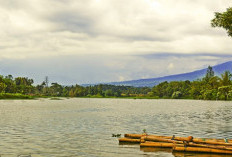 Danau Suro,Permata Tersembunyi Provinsi Bengkulu 