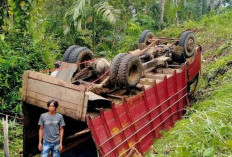 Truk Pengangkut Buah Sawit Terbalik di Ulu Talo, Diduga Akibat Jalan Licin