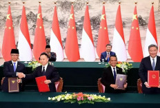 Xi Jinping Tegaskan Dukungan ke Presiden Prabowo, Sepakati Pendanaan Program Makan Bergizi Gratis