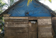 Tak Layak Huni, Berdinding Bambu Berlantai Tanah, Rumah Warga Air Latak Seluma