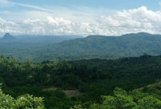 Tokoh Masyarakat Ulu Talo, Dukung Investasi Pertambangan Emas PT ESDMu di Seluma