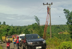 Macet Panjang, Truk Fuso Tersangkut Kabel Hingga Tiang PLN Patah di Seluma