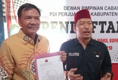 Selain Teddy, Muncul Koalisi PDI-P dan NasDem Sebagai Penantang Petana di Pilkada Seluma