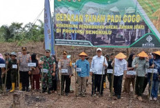 Dirjen Tanaman Pangan, Terlibat Gerakan Tanam Padi Gogo di Batu Balai