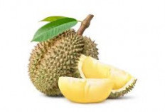 Waspadai Kombinasi Makanan Saat Menikmati Durian