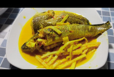 Resep Gulai Rebung Asam Ikan Gabus Hidangan Lezat Khas Seluma