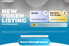  Banana For Scale (BANANAS31) Kini Hadir di INDODAX!