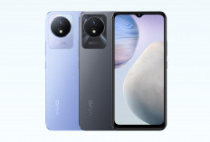 Vivo Y02: Ponsel Android Go 4G dengan Baterai Tahan Lama dan Layar Besar