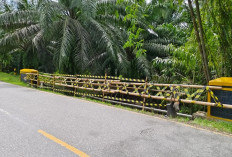 Pembatas Jembatan Rusak, Ancam Keselamatan Pengendara
