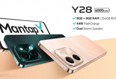 Vivo Y28: Baterai Raksasa 6000mAh dan Layar 90Hz di Bodi Tipis
