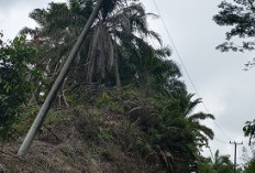 Tiang Listrik Miring di Pinggir Jalan Ulu Talo, Membahayakan 