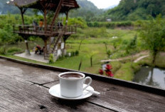 5 Bahaya Minum Kopi, Saat Perut Kosong, Gula Darah Tidak Stabil