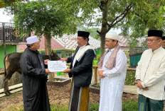   Pemprov Bengkulu Berbagi Kurban, Dua Ekor Sapi Diserahkan ke Masjid Baitul Izzah