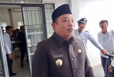 Ketahanan Pangan Desa, Jangan Hanya Sediakan Bebek