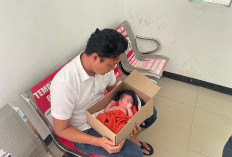 Bayi Laki Laki, Dibuang OTD di depan TPU, dalam Kardus
