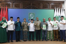 Erwin Jonaidi, Terima Rekom dari DPP PKB