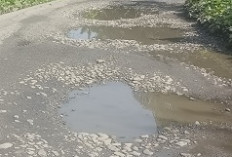 Jalan  Lintas Depan Kantor Damkar BS Berlobang Digenangi Air Mengganggu Pengendara