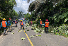 Puncak Musim Hujan, Waspada Bencana