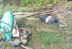 Heboh! Warga Seluma Ditemukan Meninggal di Tepi Parit, Diduga Akibat Serangan Jantung