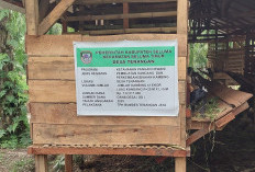 Pengadaan 41 Ekor Kambing BUMDes Tenangan Dipersoalkan, Ada Perbedaan Harga