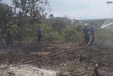 Damkar Seluma Siaga 24 Jam Antisipasi Kebakaran Lahan di Musim Kemarau Panjang