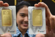 Rincian Harga Emas Antam, Per30 Agustus 2024, 0,5 Gram, Tembus Rp 756 Ribu