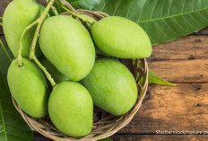 Pentingnya Membatasi Konsumsi Buah dengan Kandungan Gula Tinggi