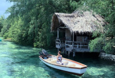 Pulau Macan Resort: Surga Eco-Wisata di Kepulauan Seribu yang Menggugah Kesadaran Lingkungan