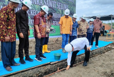 Pabrik Kelapa Sawit PT MSS di Kabupaten Seluma Mulai Dibangun