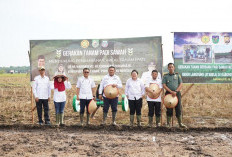 Distan Seluma Kenalkan Produk Antabela Poktan Amang Kesmo, Dalam Rakor LTT