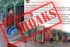 Promil Dengan Mandi Hujan, Hoax