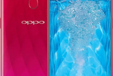 Oppo F9 Masih Jadi Primadona di Pasar Smartphone Menengah