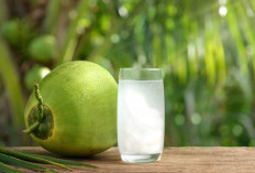 Air Kelapa Hijau, Minuman Alami yang Kaya Manfaat untuk Kesehatan