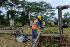 Terdampak Hujan Badai, Dua Tiang PLN di Depan Kantor Satpol PP dan Damkar Seluma, Ambruk