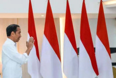 Pengamat, Apresiasi Jejak Prestasi 10 Tahun Jokowi, dan Dukung Program Pemerintahan Prabowo