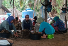 Home Industri CPO di Padang Rambun Dihentikan,  Puluhan Buruh Nganggur??