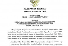 Lulus, 7 Pelamar CPNS Seluma Mundur