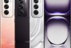Oppo Reno 12 Series Resmi Hadir, Andalkan Kamera AI Super Jernih