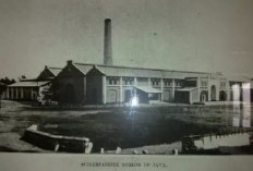 Pabrik Gula Gondang Winangoen: Dari Jejak Kolonial ke Layar Bioskop yang Bikin Merinding