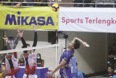 Proliga 2025: Bhayangkara Presisi Kalahkan Samator