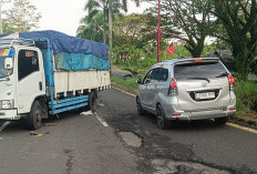 Gagal Nanjak, Truk Muatan 8 Ton Ampas Ayam Goreng, Tabrak Pohon Palm di Jalur Dua Tais