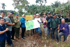 Supervisi dan Pengecekan Tapal Batas Kawasan Hutan Serta Pemasangan Patok Tapal Batas