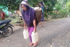 Kemarau, Masyarakat Antre Mandi di Sungai. Sempat Turun Hujan Air Sumur Tidak Bertambah